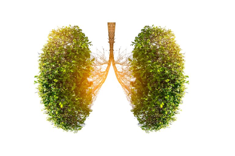 Illustration of lung tree (Environment and Medicine)
